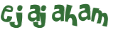 Captchafråga
