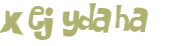 Wyzwanie captcha