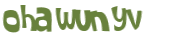 Wyzwanie captcha