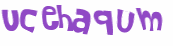 Wyzwanie captcha