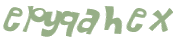 Captcha 챌린지