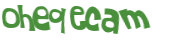 Wyzwanie captcha