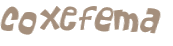 Captcha 챌린지