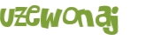 Wyzwanie captcha