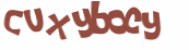 CAPTCHA 挑戰