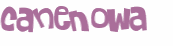 Captcha-test