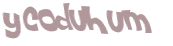 Captcha challenge