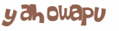 Desafio captcha