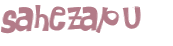 Desafio Captcha