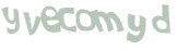 Captcha 챌린지