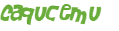 Desafio captcha