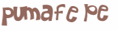 Desafio Captcha