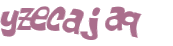Wyzwanie captcha
