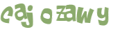 Wyzwanie captcha