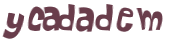 Wyzwanie captcha