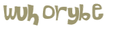 Desafio captcha