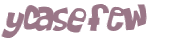 Captcha 챌린지