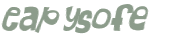 Captcha 챌린지
