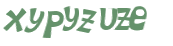 CAPTCHA 挑戰