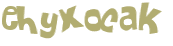 Captcha 챌린지