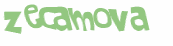 Desafio captcha
