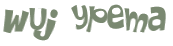 Wyzwanie captcha