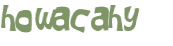 Sfida captcha