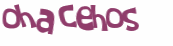 Captcha 챌린지