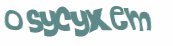 CAPTCHA 挑戰