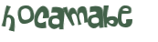 Desafio Captcha