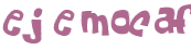 CAPTCHA 挑戰