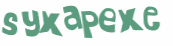 Wyzwanie captcha