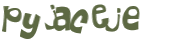 CAPTCHA-haaste