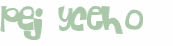 Prueba Captcha