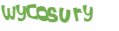 Wyzwanie captcha