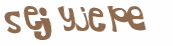 Captcha-Test