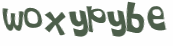 Wyzwanie captcha