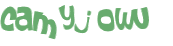 CAPTCHA 挑戰