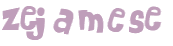 CAPTCHA-haaste