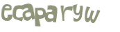 Wyzwanie captcha