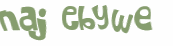Wyzwanie captcha