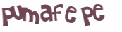 Wyzwanie captcha