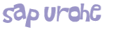 Captcha 챌린지