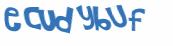 Desafio Captcha