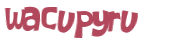 Captcha 챌린지