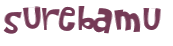 Desafio captcha