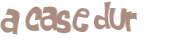 Captcha 챌린지