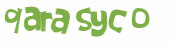 Captcha 챌린지