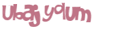 Captcha-Test