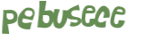 CAPTCHA-haaste